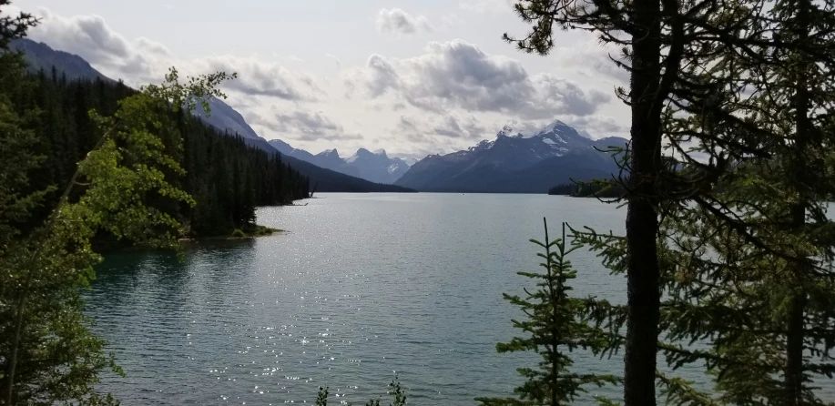 a view of some water and trees under a cloudy sky