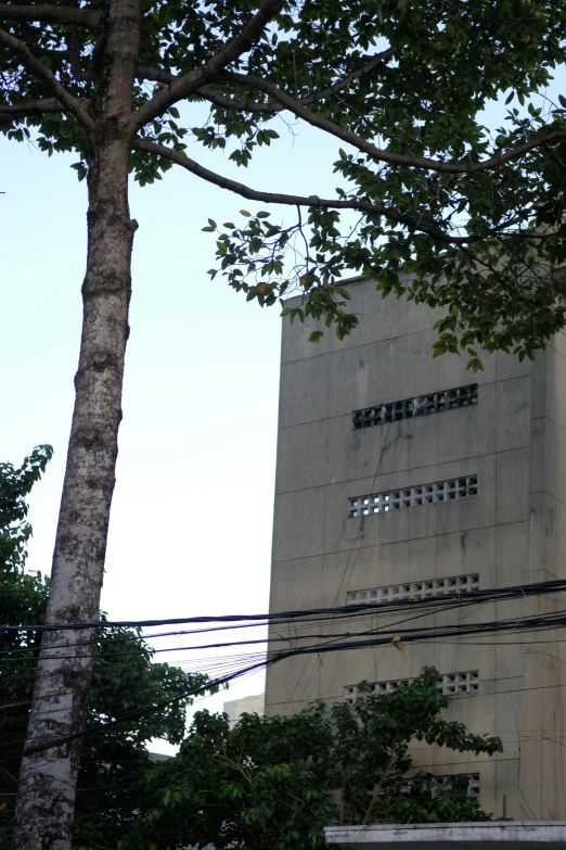 a building with several windows is next to a telephone pole