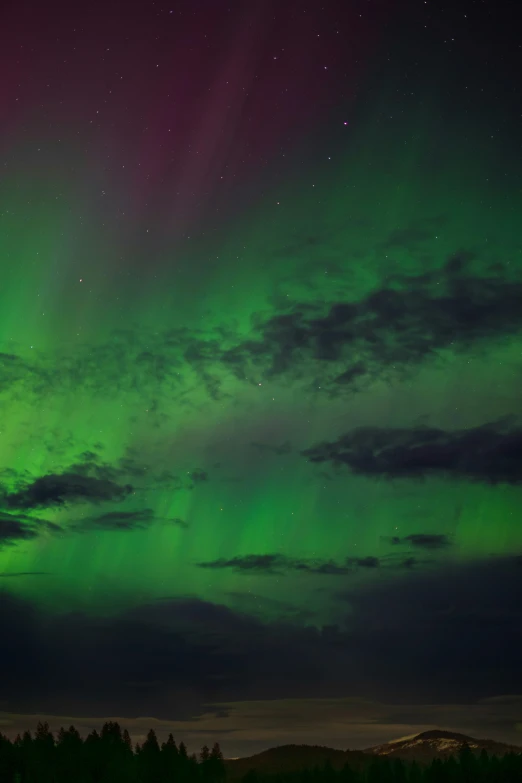 the aurora bore is glowing green and purple