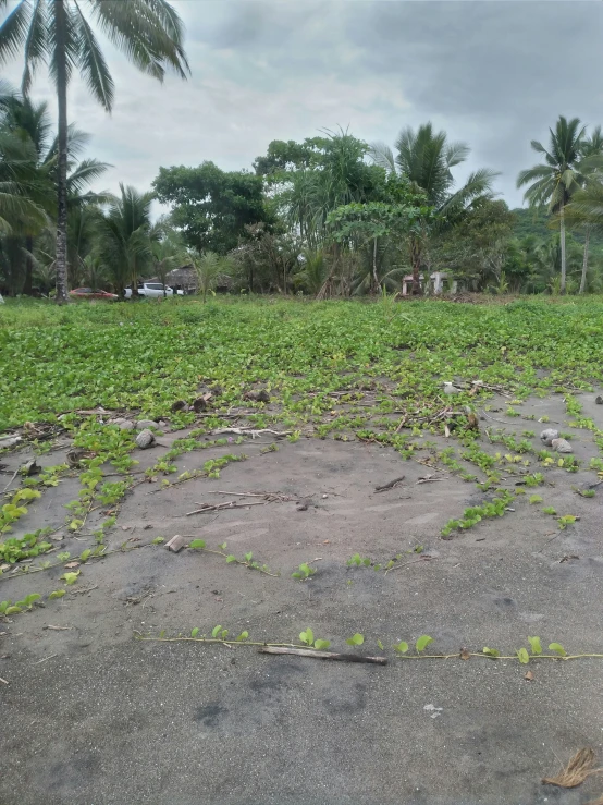 a field with grass and dirt in the middle