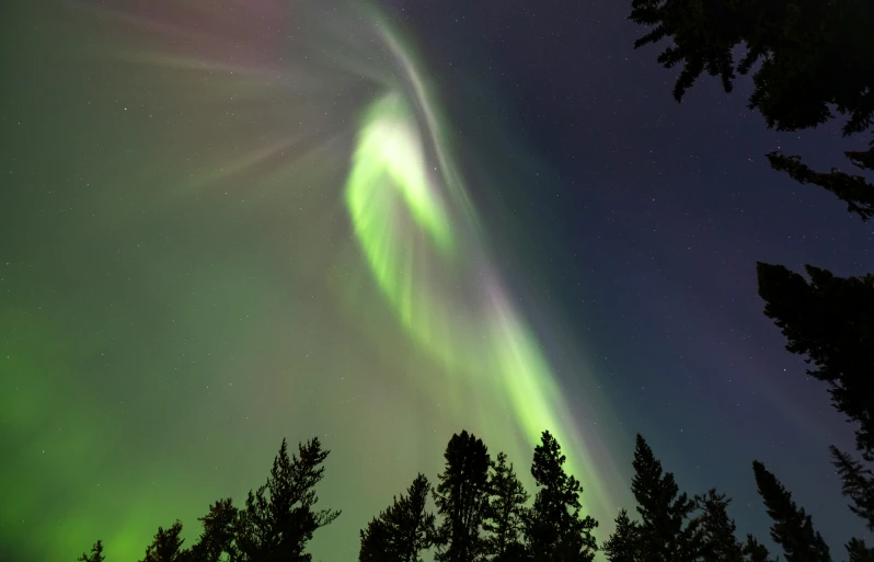 a green and purple aurora is visible in the night sky