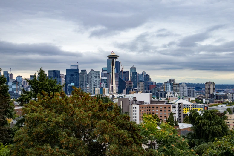 a view of seattle from a hill overlooking the city