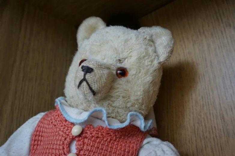 a teddy bear dressed in a vest and jumper