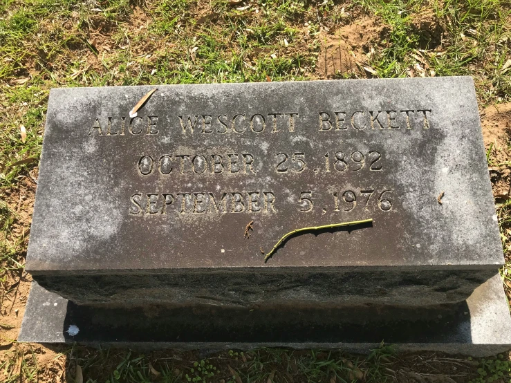 a cemetery marker laying on the ground with a small snake crawling out