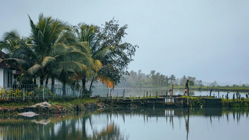 a house and trees near the water