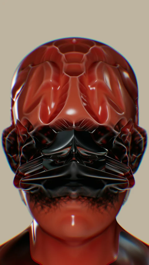 an image of a person's head with two different sections