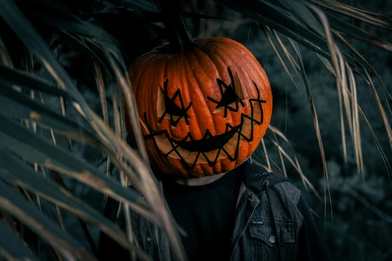 the pumpkin in a face looks scary as it stands out from behind the foliage