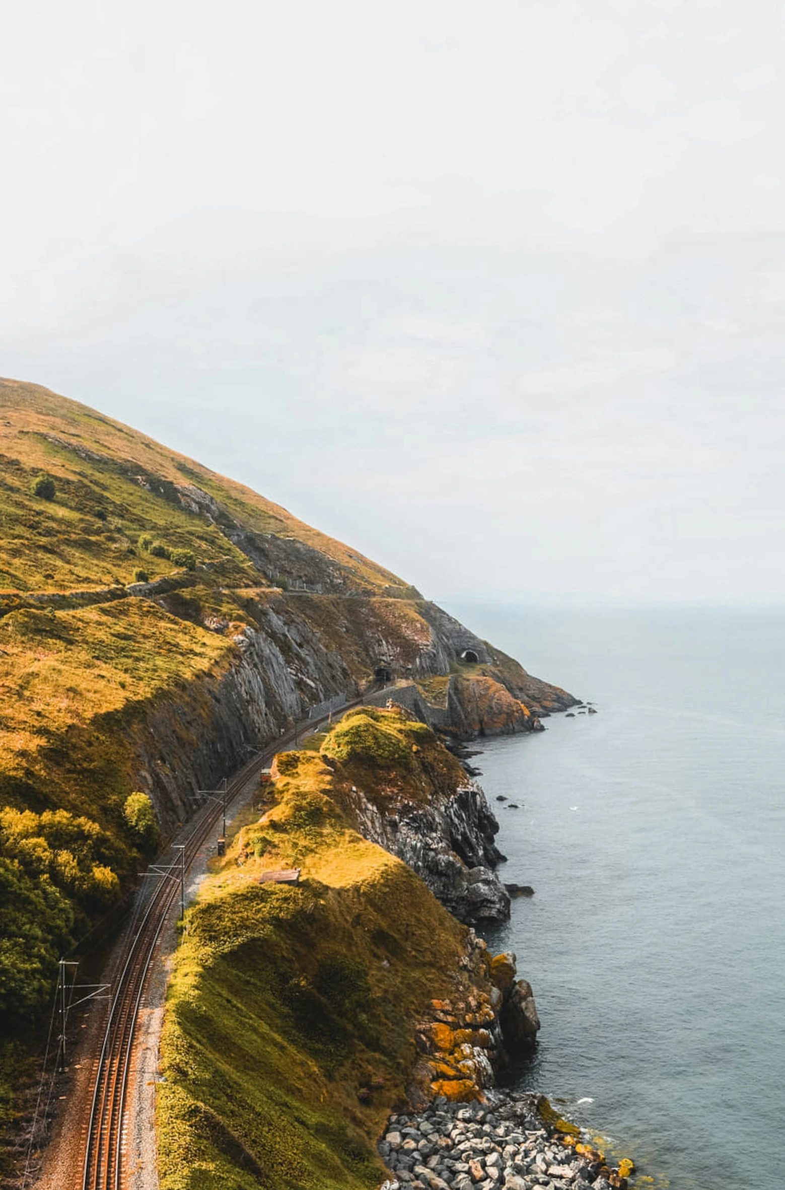 a road is next to the ocean and has many trees on it