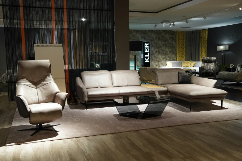 the living room is decorated with modern furniture