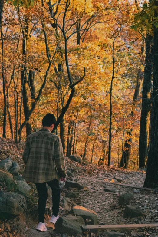 an adult and child hike through a grove in the fall