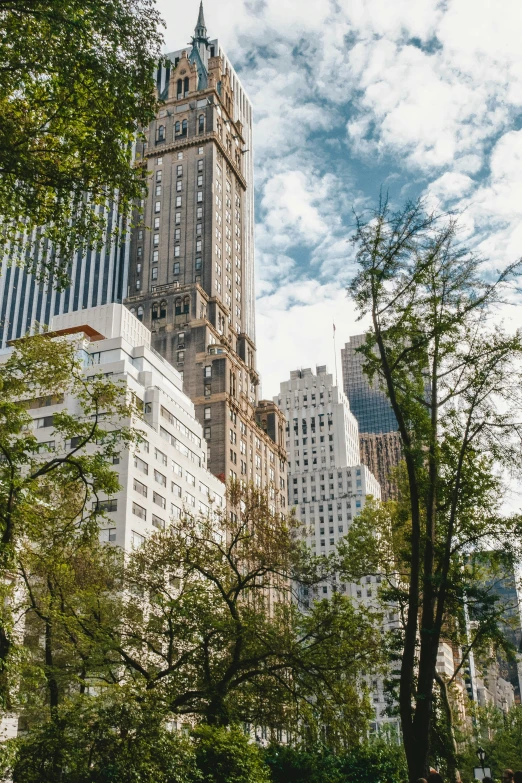 a group of tall buildings next to trees and bushes