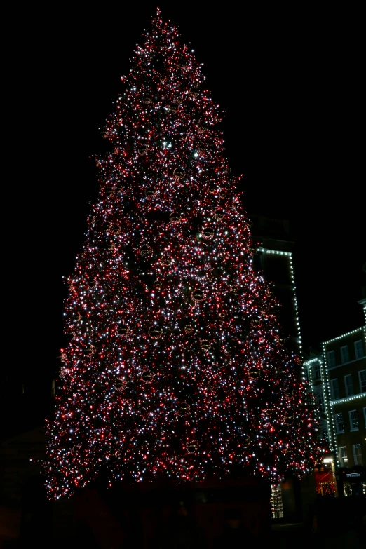 christmas tree on street next to skyscrs in dark city