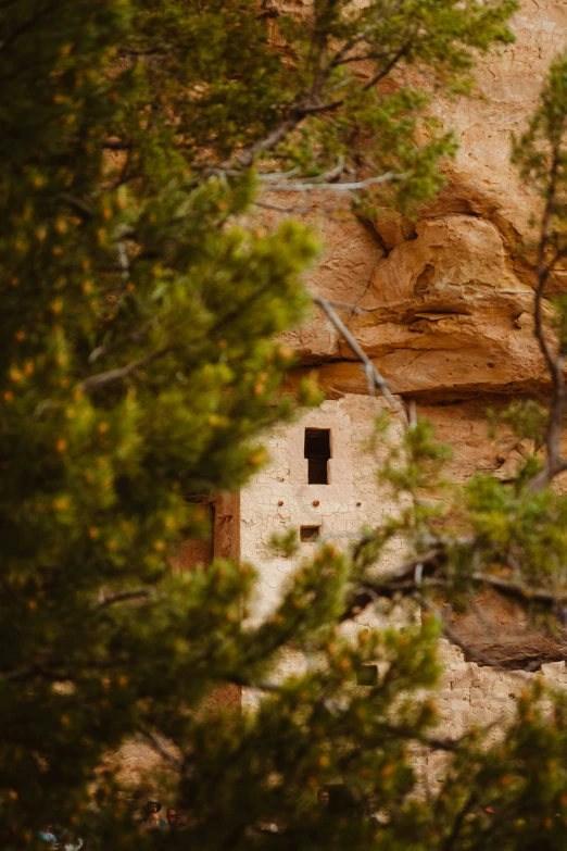 a view from behind the tree of some rock formations