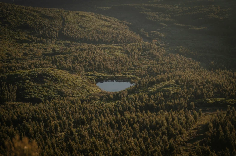 a lake nestled between some trees on the side of a hill