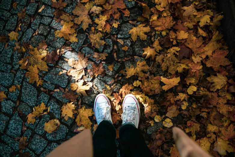 a person with their feet on the ground and yellow leaves
