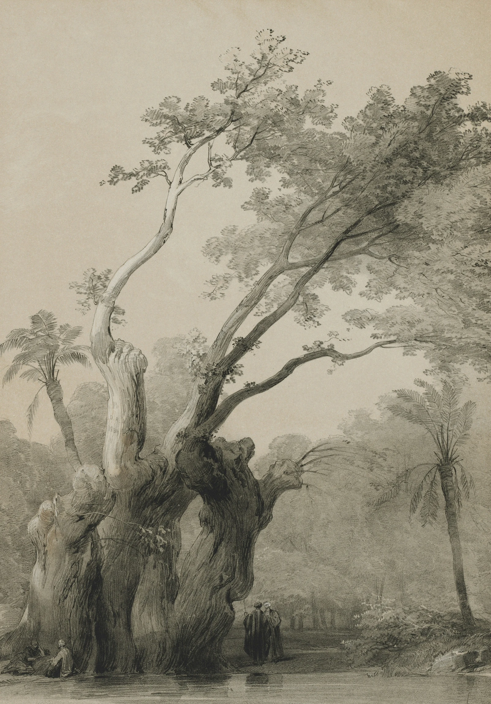 a sketch of people next to trees and rocks