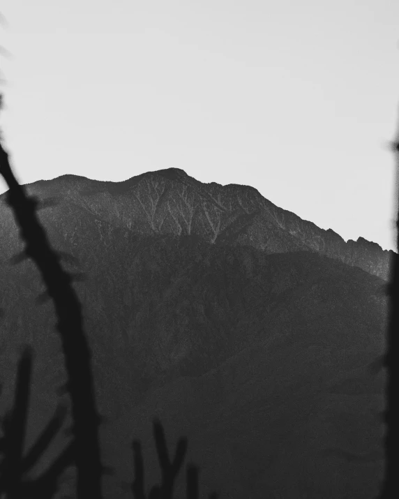 a black and white po of mountains