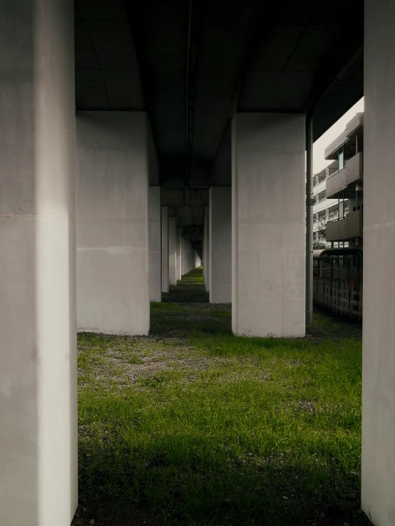 grass between two white concrete pillars