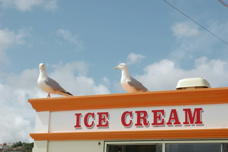 two seagulls sitting on top of a sign for ice cream