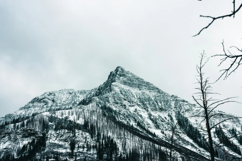 mountains in the winter with trees and snow on them