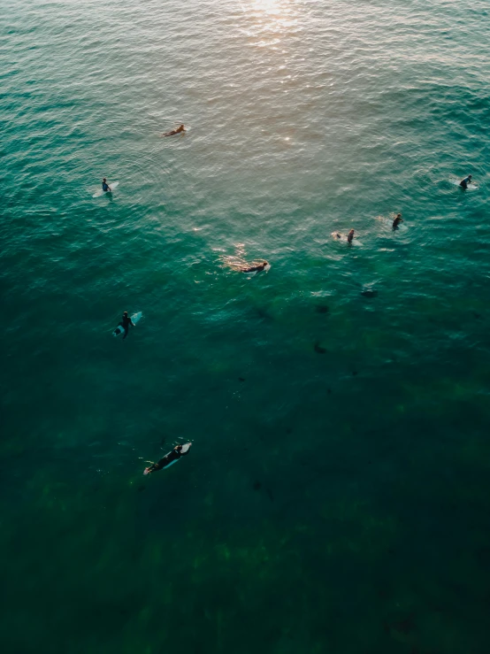 some people swimming in the ocean and having fun