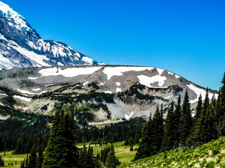 the snow - capped mountains can be seen on many trails