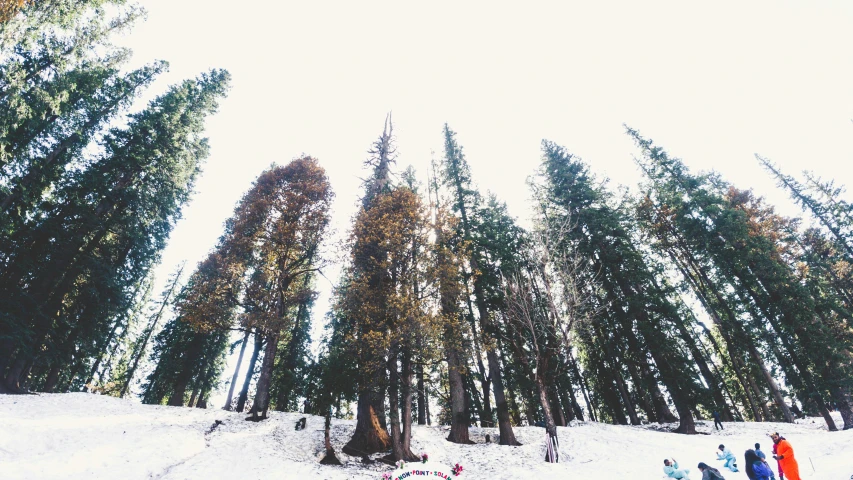 a group of people on snowboards walking up a snowy hill