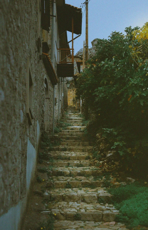 a very long set of steps that are next to trees