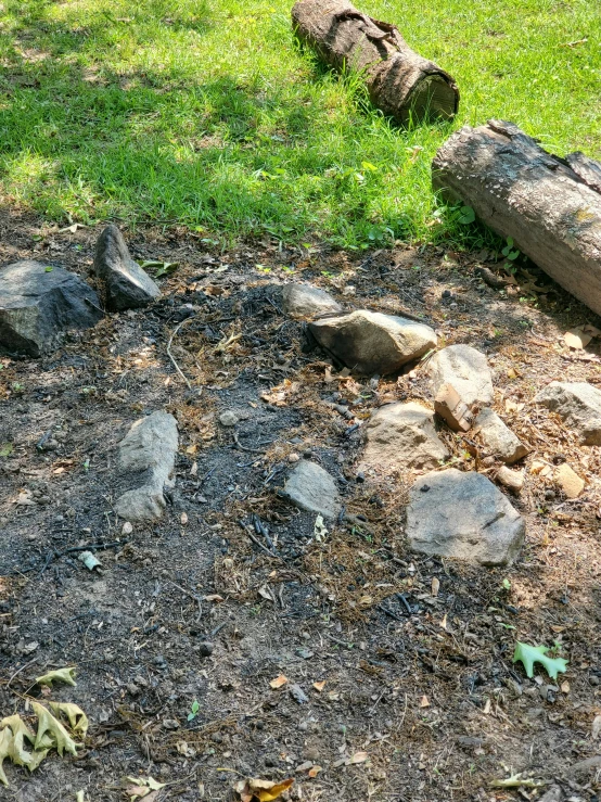 rocks and tree logs are arranged on the ground