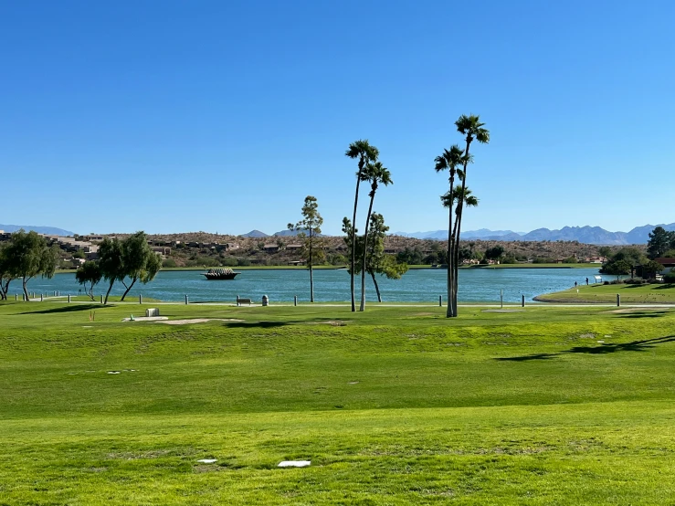 a golf player taking his s on the green