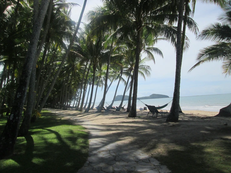 an empty park that has some hammocks on it