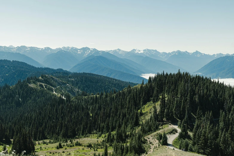 a scenic view of mountains, a forest and a paved road