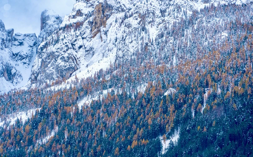 a large mountain covered in snow and tree line