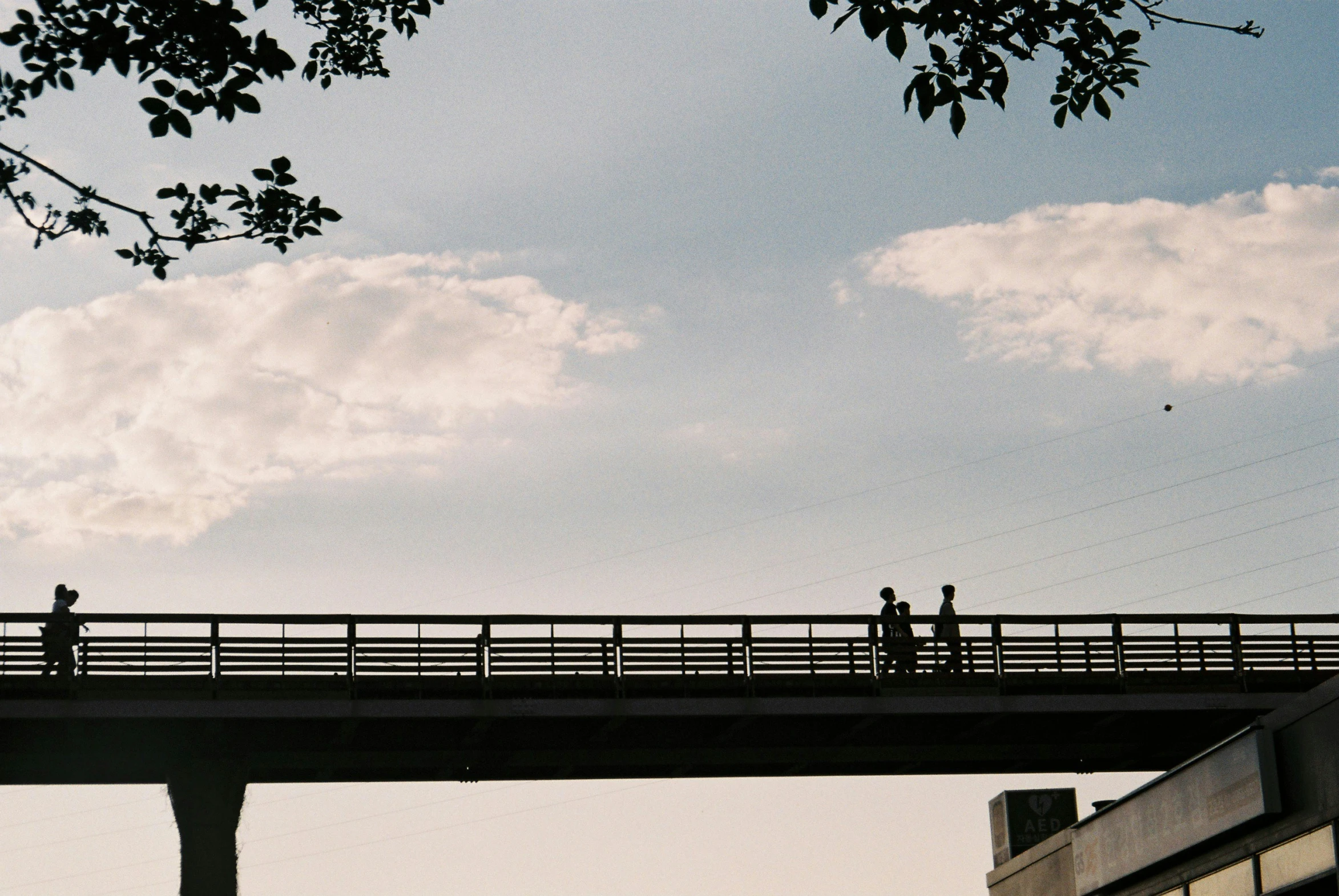 people walk across a bridge while looking at the sky