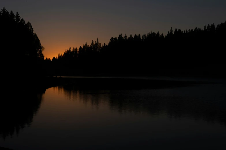 a couple of trees on the side of a lake at sunset