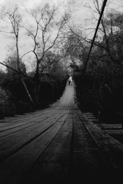 people walking across a wooden bridge in the middle of the woods