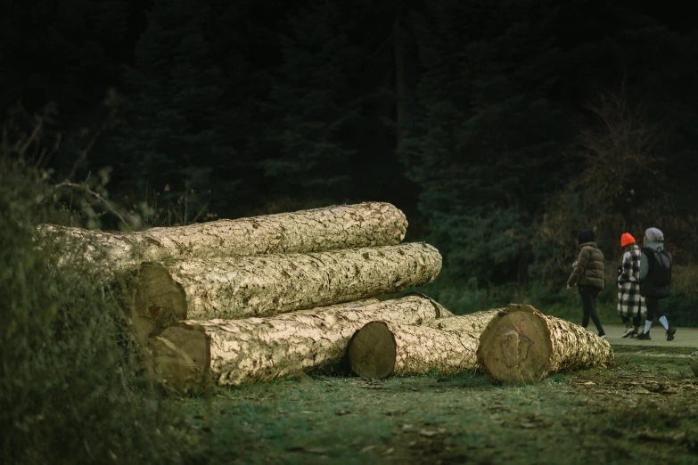 a man walking with a woman behind large log in field