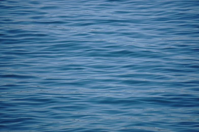 blue water texture showing the calm waters