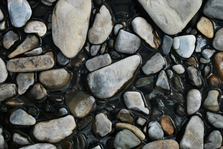 a rock - strewn streambed is used for an artistic backdrop