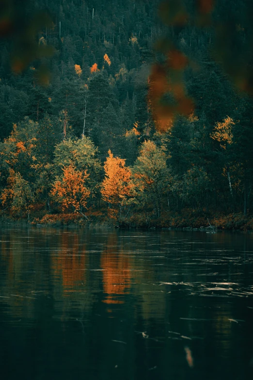 the lake is surrounded by colorful trees with a dark sky