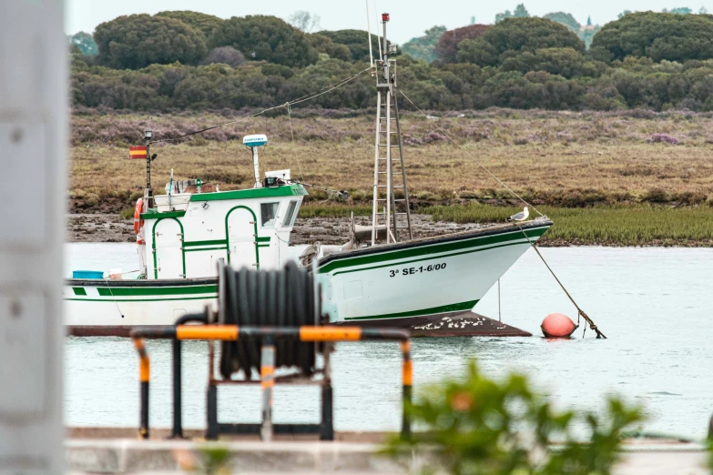 a green and white boat sits in the water