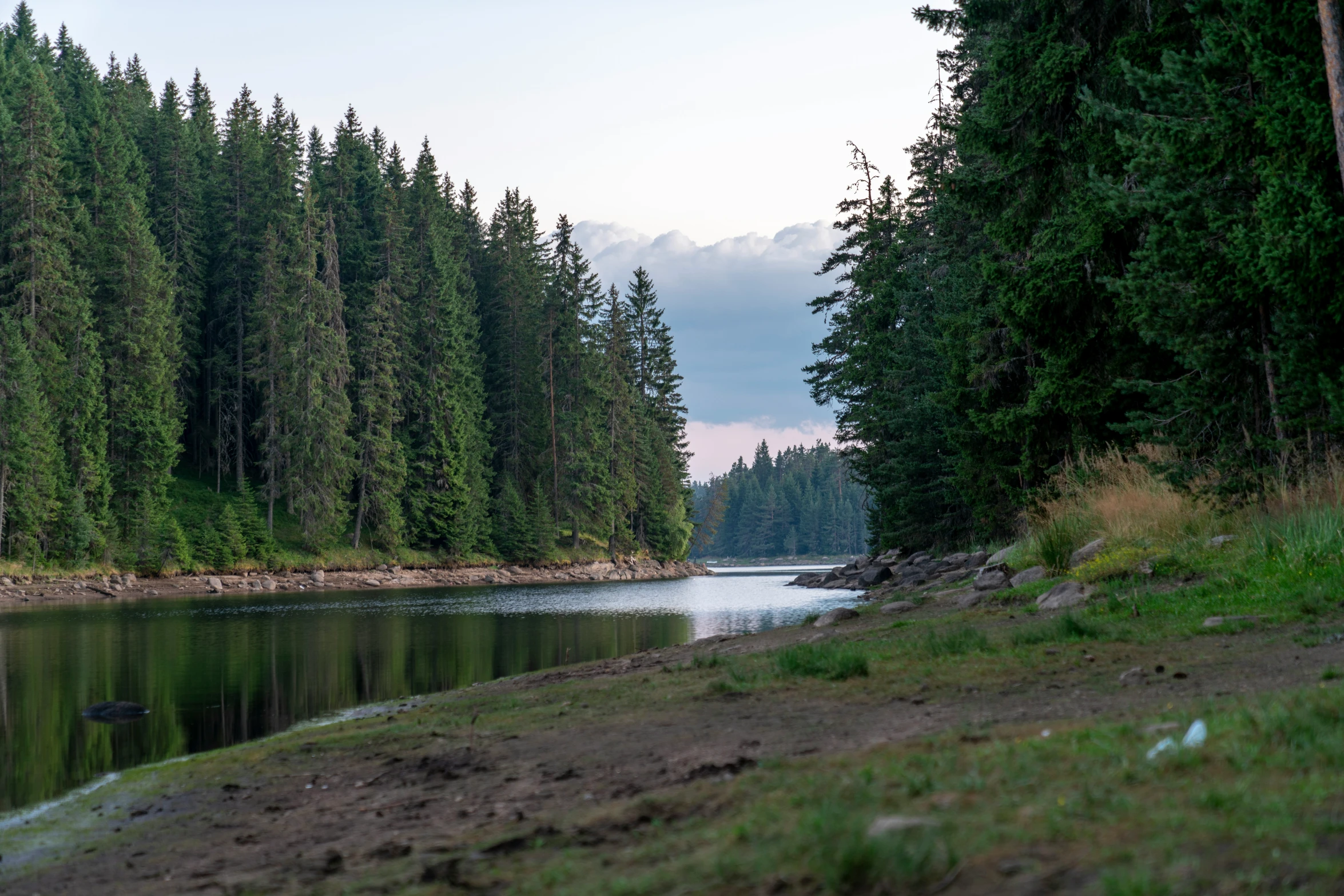 a river with a boat on it near a forest