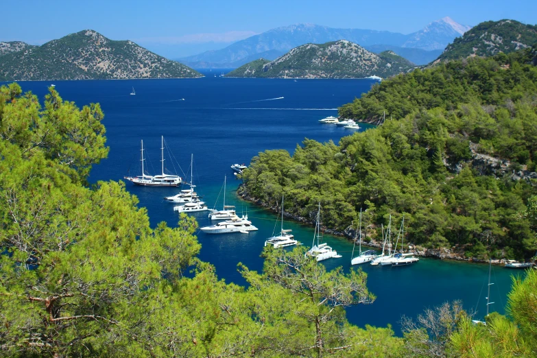 the marina is dotted with boats in the water