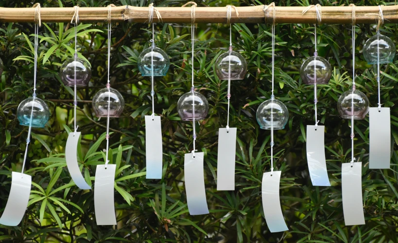 several glass hanging from strings and tags on tree limbs