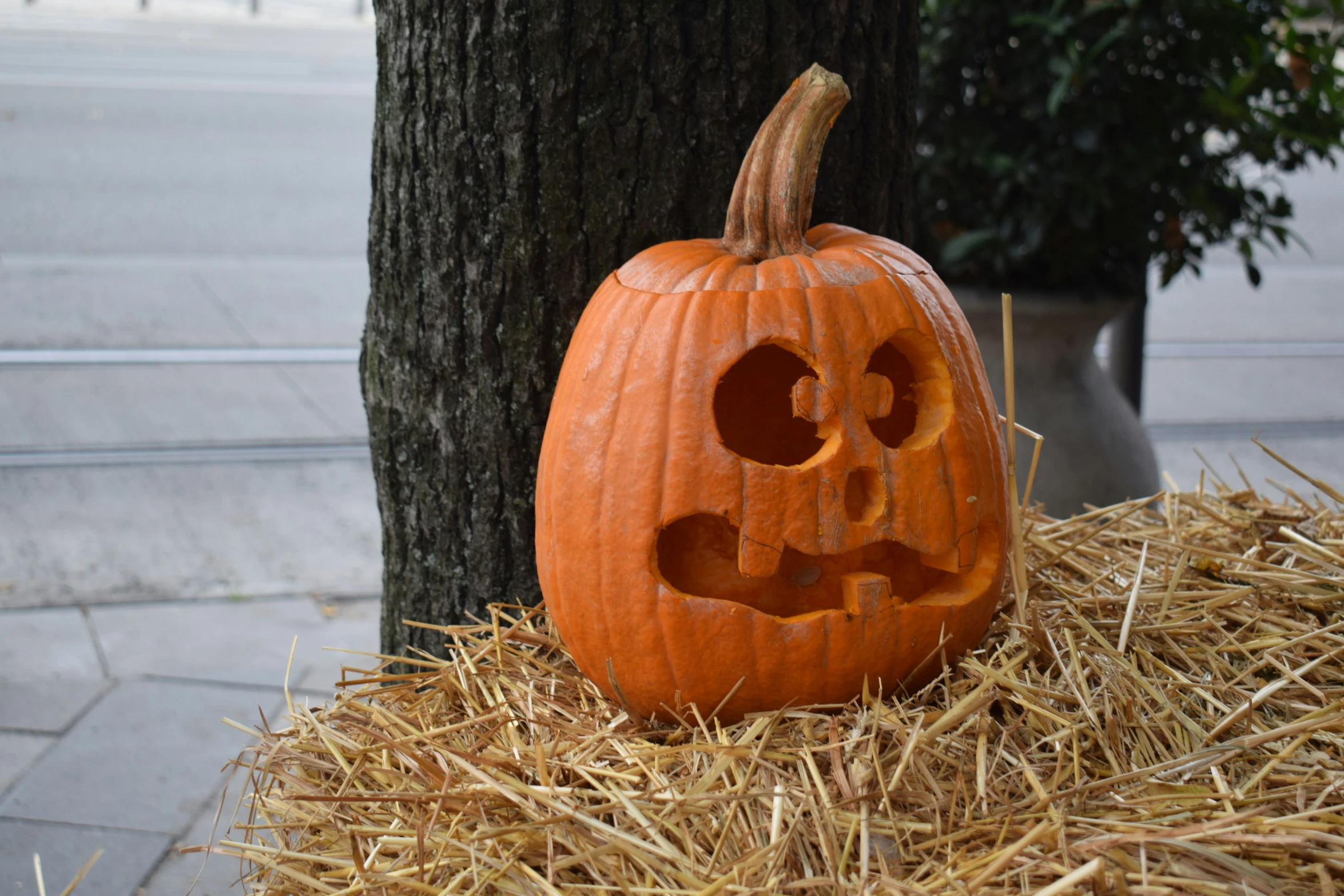 a pumpkin with two cut outs, placed on a pile of hay