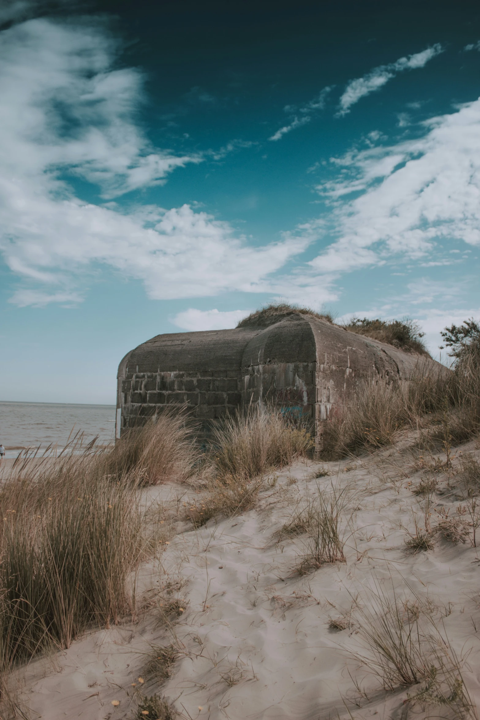 an elephant standing on top of a beach next to the ocean