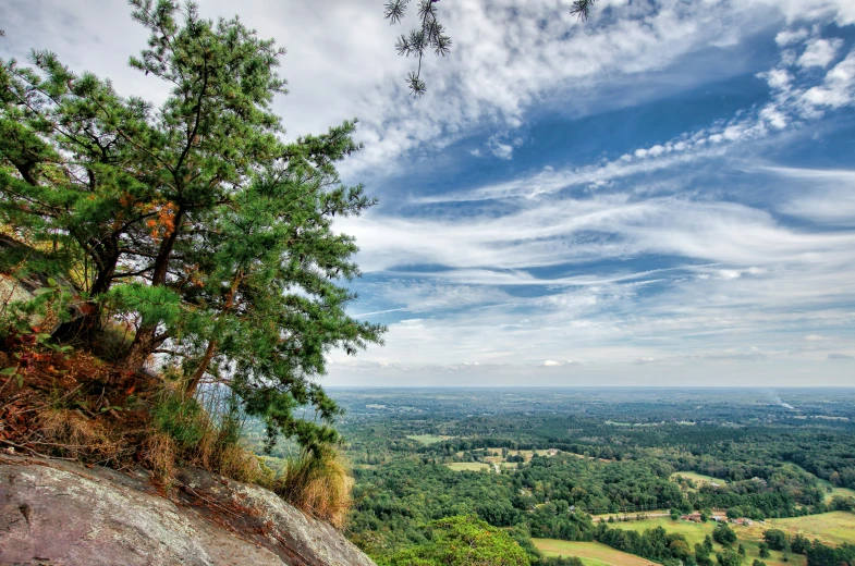 a man sitting on top of a hill overlooking a lush green valley