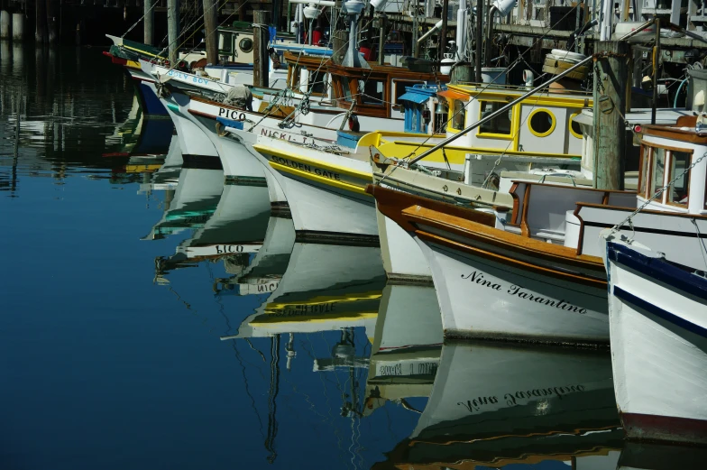 a fleet of boats are lined up near the dock