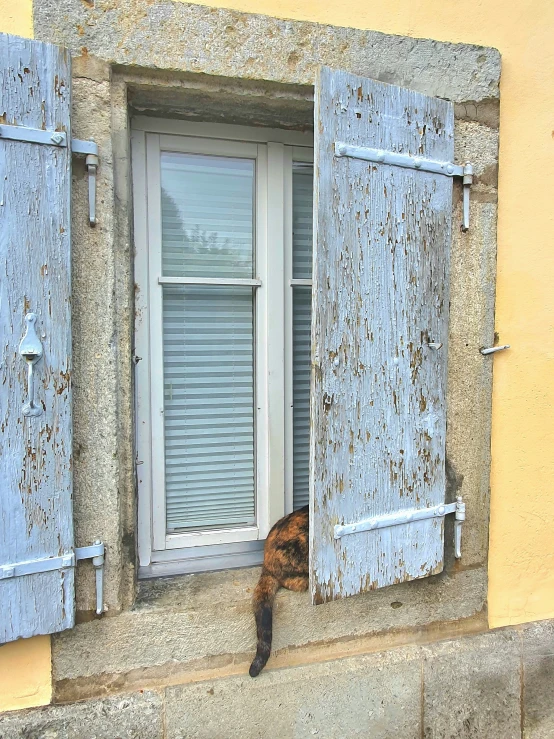 a cat laying on the window sill outside a building