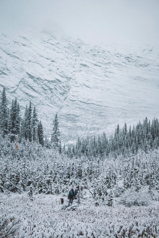 two people walking in the snow and trees